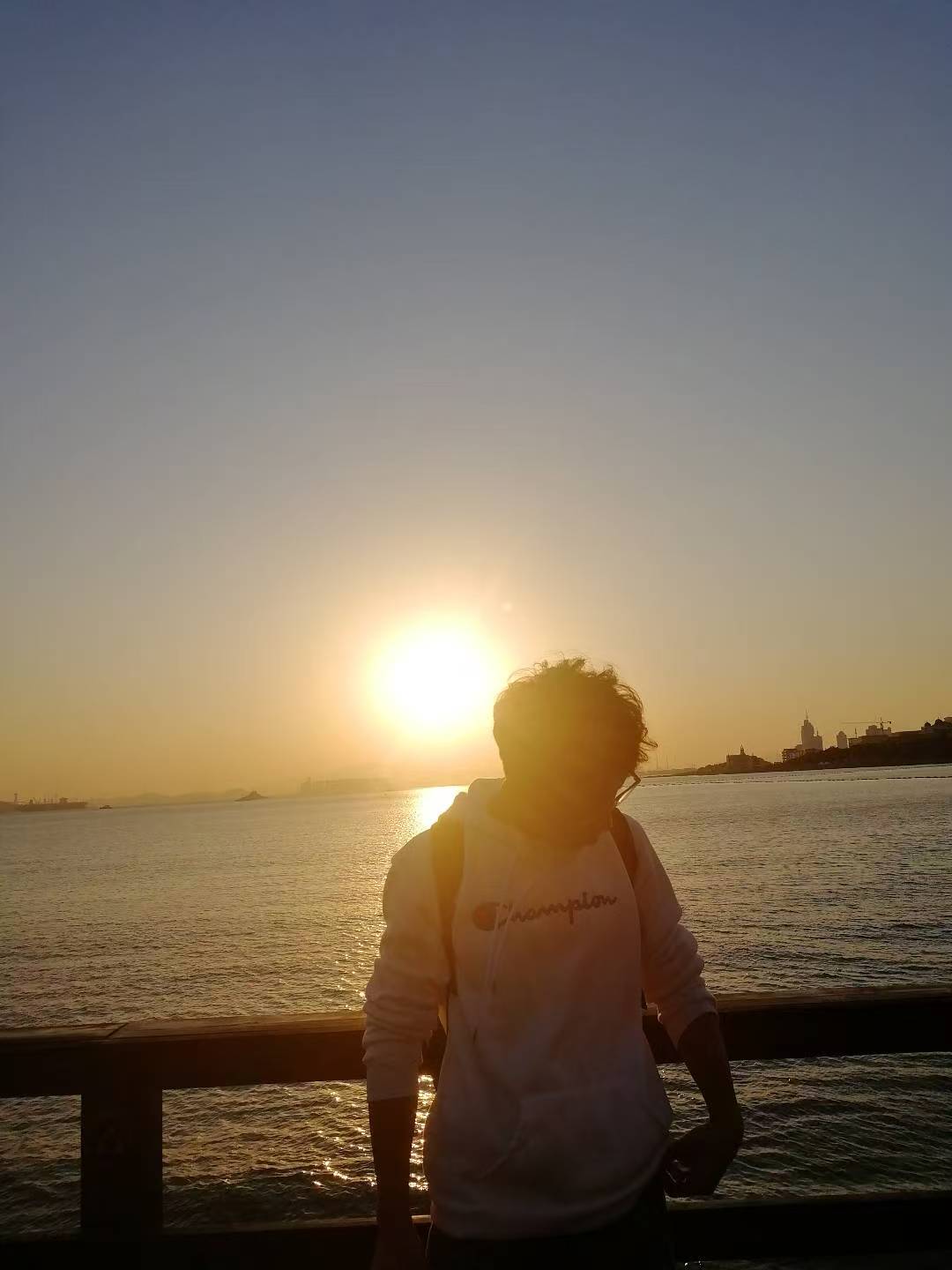 朱立君